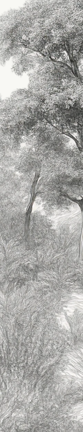 image 5 Accueil Dentistes à Pernes-les-Fontaines | Pôle 158